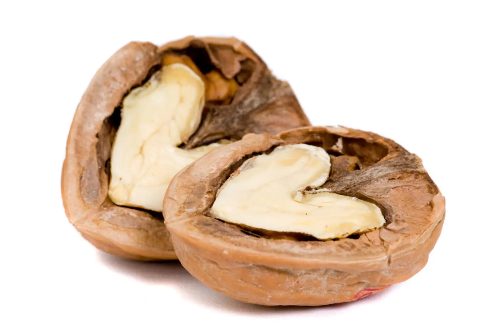 A close up of two nuts on a table